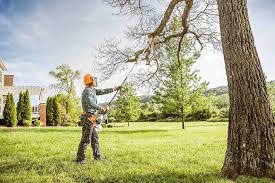 Reliable Warren, PA Tree Removal and Landscaping Services Solutions